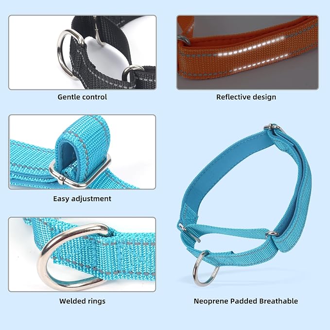 SGODA Martingale Dog Collar, Reflective Nylon Padded Dog Training Collars for Small Dogs, Blue S