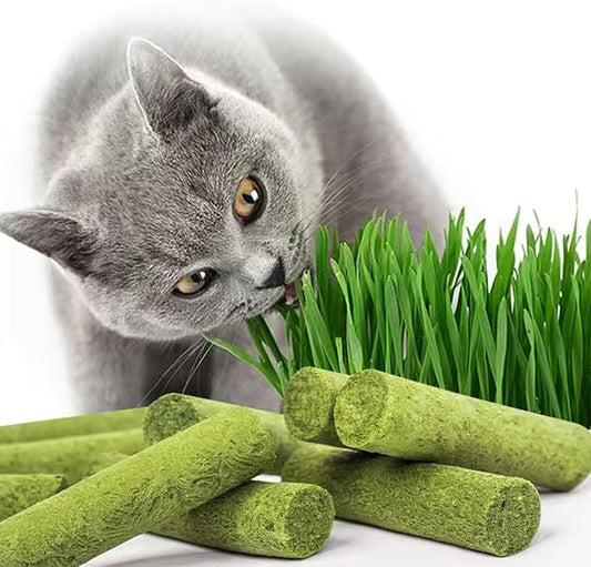 Petllgood 30g Cat Grass Sticks, Freeze Dried Cats Grass Teething Stick, Edible Cat Chew Toy for Teeth Cleaning Dental Health and Hairball Removal