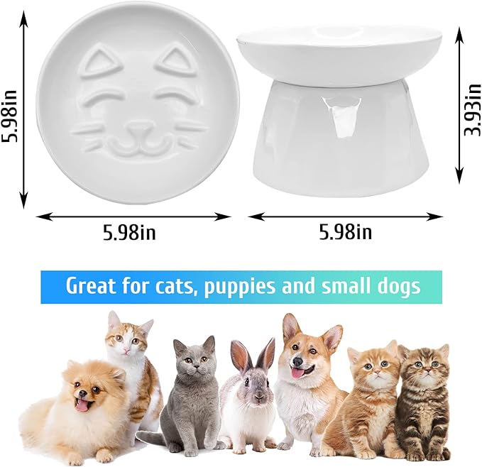 BNOSDM Raised Cat Slow Feeder Bowl Elevated Shallow Cat Dish Whisker Fatigue Slow Eating Bowls Cute Wet Food Puzzle Bowls for Indoor Small Cats Kitten