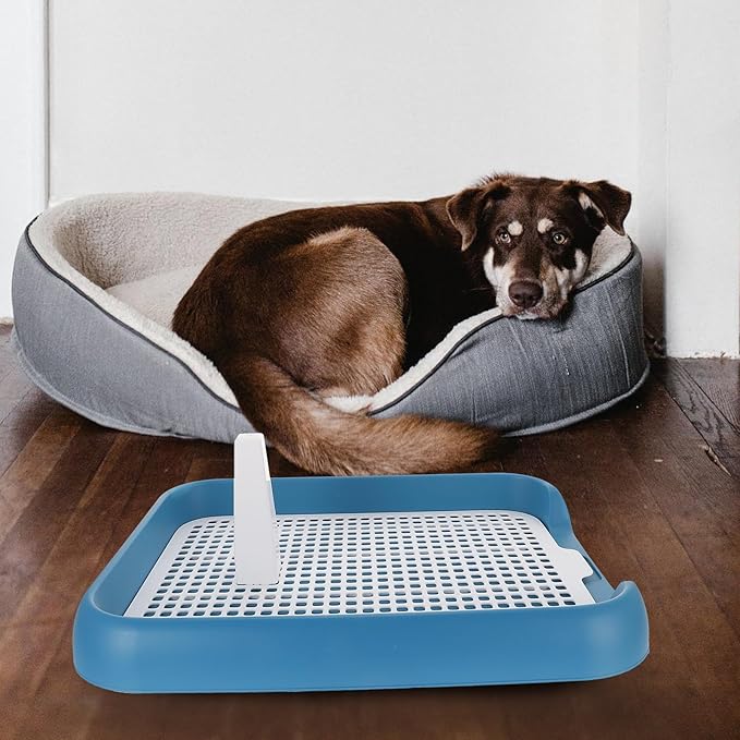 Anti- Mesh Dog Toilet Tray for Puppies Portable Indoor Pet Potty with Leak-Resistant Raised Edges Plastic Puppy Training Potty for Small to Dogs