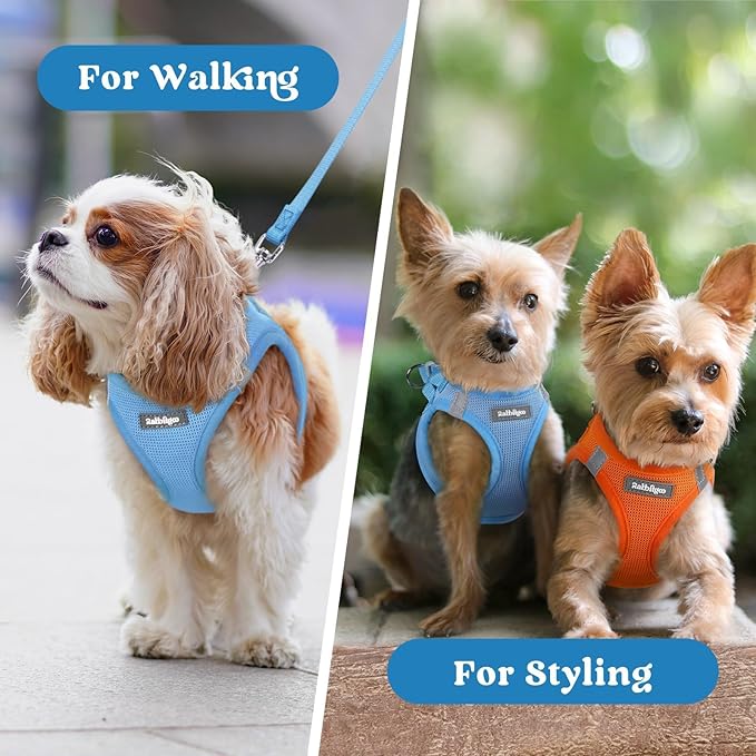 rabbitgoo Small Dog Harness, Step-in Soft Mesh Puppy Vest with Safety Buckle, Breathable Reflective Pet Harness for Small Sized Dogs, Blue XS