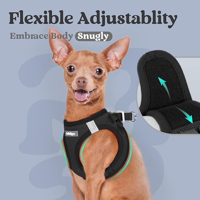 rabbitgoo Small Dog Harness, Step-in Soft Mesh Puppy Vest with Safety Buckle, Breathable Reflective Pet Harness for Small Sized Dogs, Black S