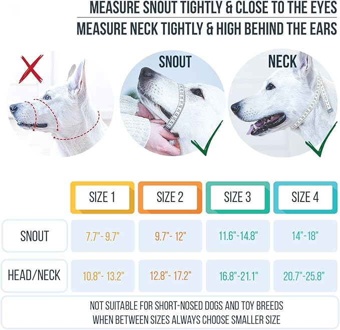 GoodBoy Dog Head Halter with Safety Strap - Stops Heavy Pulling On The Leash - Padded Headcollar for Small Medium and Large Dog Sizes - Head Collar Training Guide Included (Size 2, Blue Nylon)