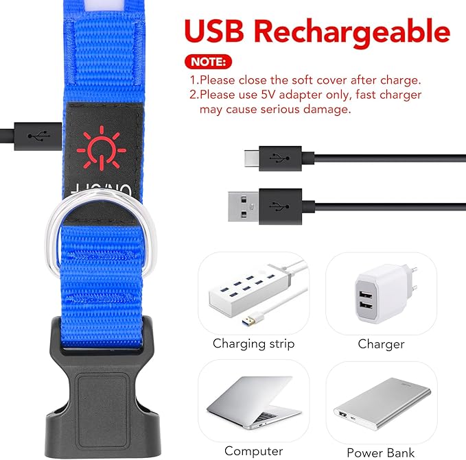 Vizpet LED Dog Collar, Light Up Dog Collar Adjustable USB Rechargeable Super Bright Safety Light Glowing Collars for Dogs(Medium,Blue)