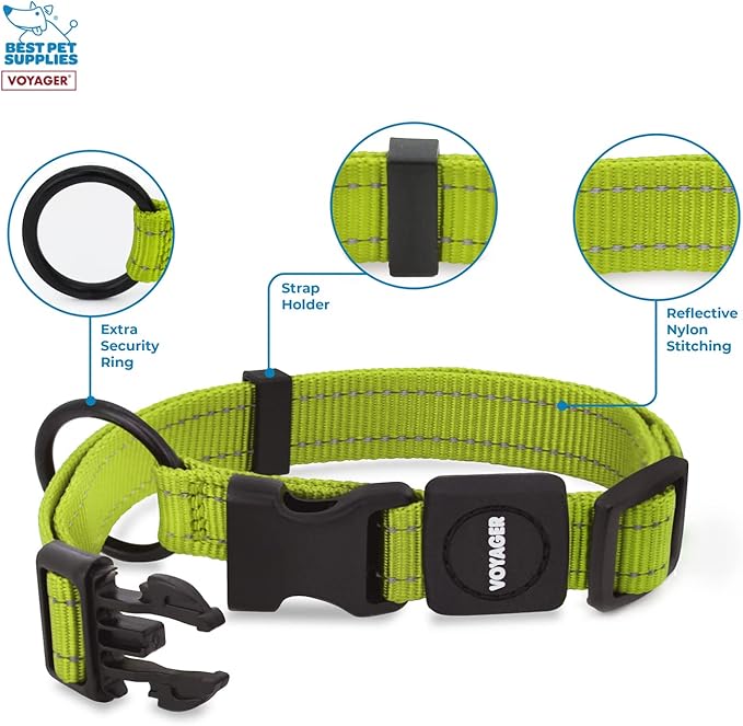 Best Pet Supplies Voyager Reflective Dog Leash or Collar with Neoprene Handle, for Small, Medium, and Large Breed Puppies, Cute and Heavy Duty for Walking, Running and Training - Lime Green, M