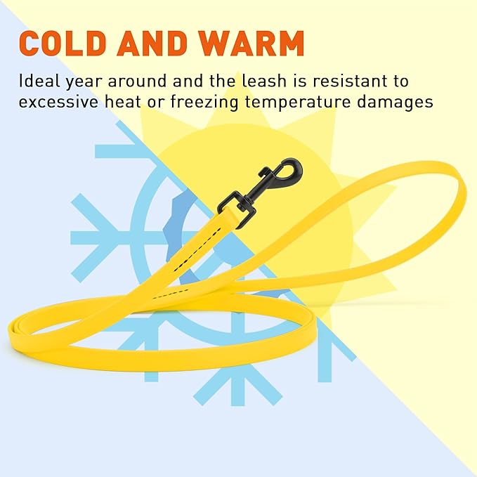 Dogline Biothane Waterproof 4ft Dog Leash Strong Coated Nylon Webbing with Black Hardware Odor-Proof Easy to Clean High Performance for Small or Large Dogs Made in USA 4ft Lead, Lemon Yellow