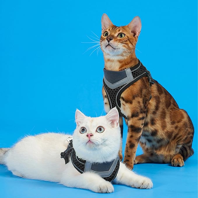 Cat Harness and Leash Set for Comfortable Outdoor Walking, Escape Proof, Adjustable Soft Kitten Vest Harness with Reflective Strip for Cats, Small Dogs (Black, S)