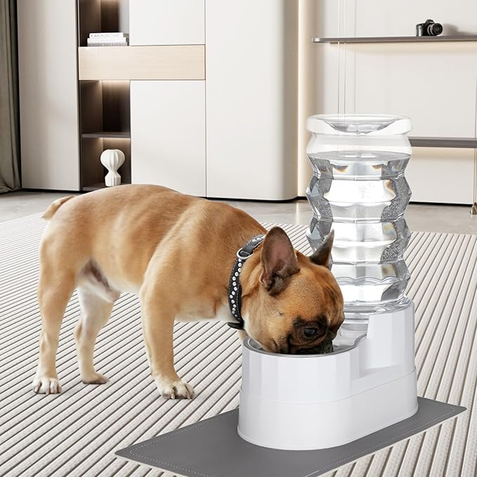 RIZZARI Automatic Dog Water Dispenser：8L Lagre Stainless Steel Raised Pet Water Bowl Gravity Feeder with Triple Filter Specialized Brush - Garage Garden Pet Feeder