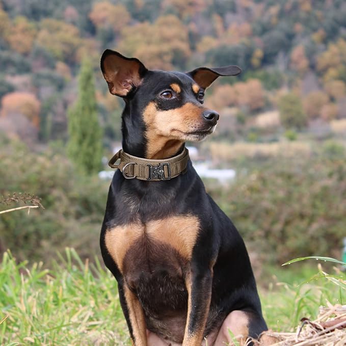 EXCELLENT ELITE SPANKER Tactical Dog Collar Nylon Adjustable Training Collar Military Dog Collar Heavy Duty Metal Buckle with Control Handle for Medium and Large Dogs with Patches(Ranger Green-XL)