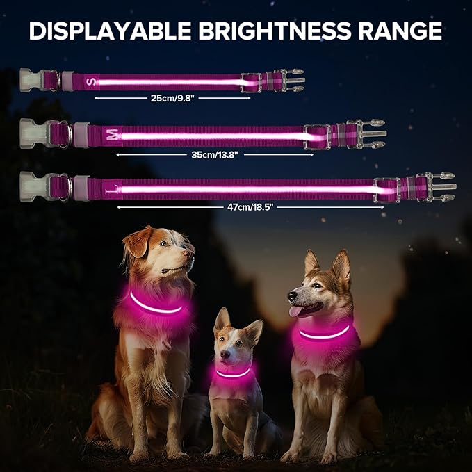 Jewyow Light Up Dog Collar, Adjustable USB Rechargeable Glow in Dark Dog Collar ，Waterproof Dog Collars for Medium Dogs (Pink, Medium)
