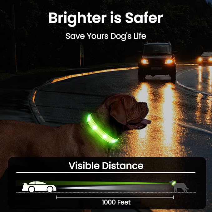 MASBRILL Light Up Dog Collar - RGB LED Flashing, Rechargeable, Water-Resistant Glow Up Night Walking Collar for Small to Large Dogs