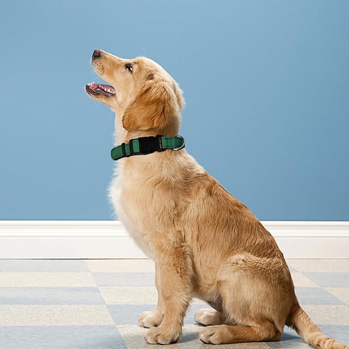 Reflective Dog Collar, Adjustable Soft Neoprene Padded Nylon Pet Collars with Buckle for Small Dogs, Dark Green,S