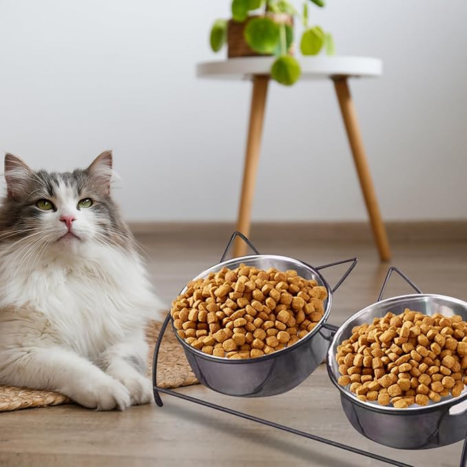Hotainoys Elevated Cat Bowls 2 Stainless Steel Cat Bowls with Stand, Raised Bowl for Food ＆ Water Non Slip Tilted Food for Cats and Dogs Anti Vomit Elevated Bowl