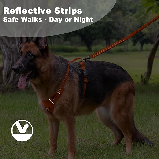 No Pull Dog Harness for Medium Dogs, Adjustable, Reflective Breathable Padded Vest with 2 Metal Leash Clips and Handle for Control or Car Seatbelt Use, Orange, M