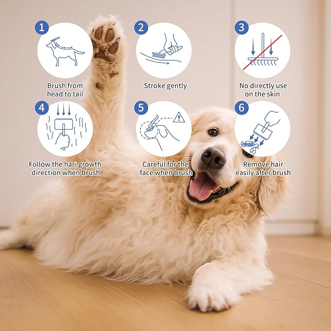 Slicker Brush for Dogs & Cats, Large Dog Brush for Goldendoodles Poodles Doodles Bernedoodles, Long Pin Grooming Tools to Dematting & Reducing Tangles and Fluff, Blue