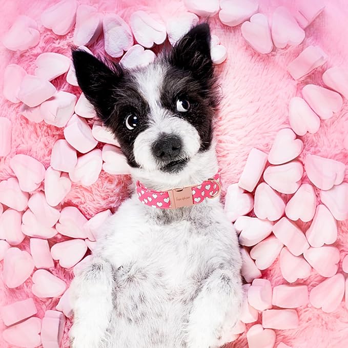 Unique style paws Dog Collar Metal Buckle Collar for Valentine's Day Gift Pink Heart Love for Small Medium Large Boys Girls Dogs