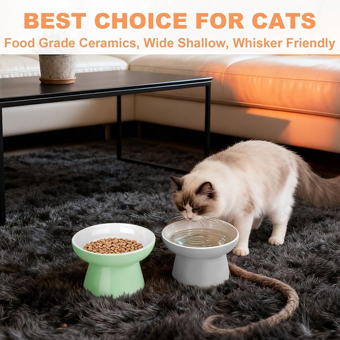 Elevated Cat Bowls,2 Pcs Ceramic Raised Cat Food Bowls with Non-Slip Base,Whisker-Friendly Shallow Design,Lead & Cadmium Free Pet Feeder,Dishwasher and Microwave Safe (Green&Light-Grey)