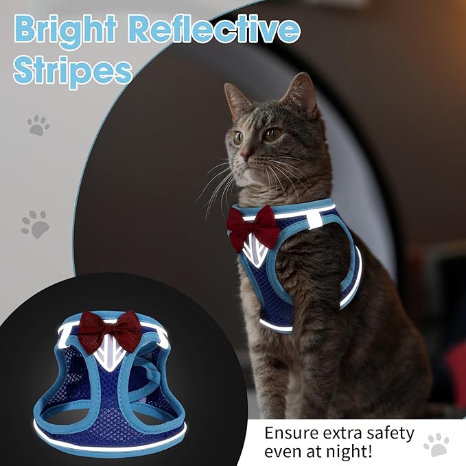 Cat Vest Harness and Leash Set for Walking Escape Proof, Adjustable Kitten Harness Breathable Mesh with Reflective Strips Harness for Kitty Puppy Bunny (Blue, XS)