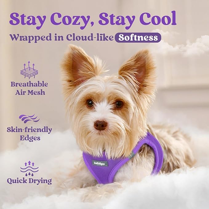 rabbitgoo Small Dog Harness, Step-in Soft Mesh Puppy Vest with Safety Buckle, Breathable Reflective Pet Harness for Small Medium Dogs, Purple XL