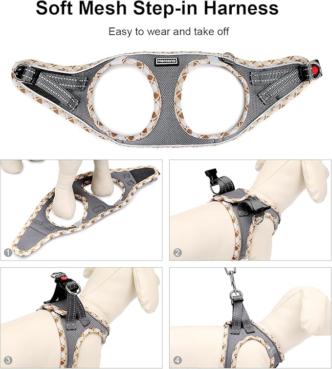 Mercano Soft Mesh Dog Harness and Leash Set, No-Chock Step-in Reflective Breathable Lightweight Easy Walk Vest Harnesses with Safety Buckle for Small Dogs, Cats (Grey, M)