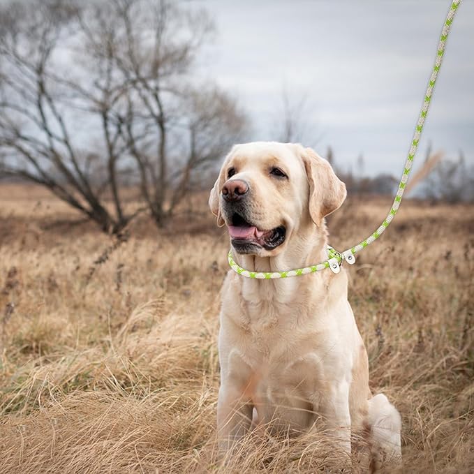 Slip Lead Rope Dog Leash Heavy Duty for Training, Nylon Strong Slip Leads for Dogs 6 Ft X 1/2 Inch,Comfortable Training Leash for Medium Large Dogs