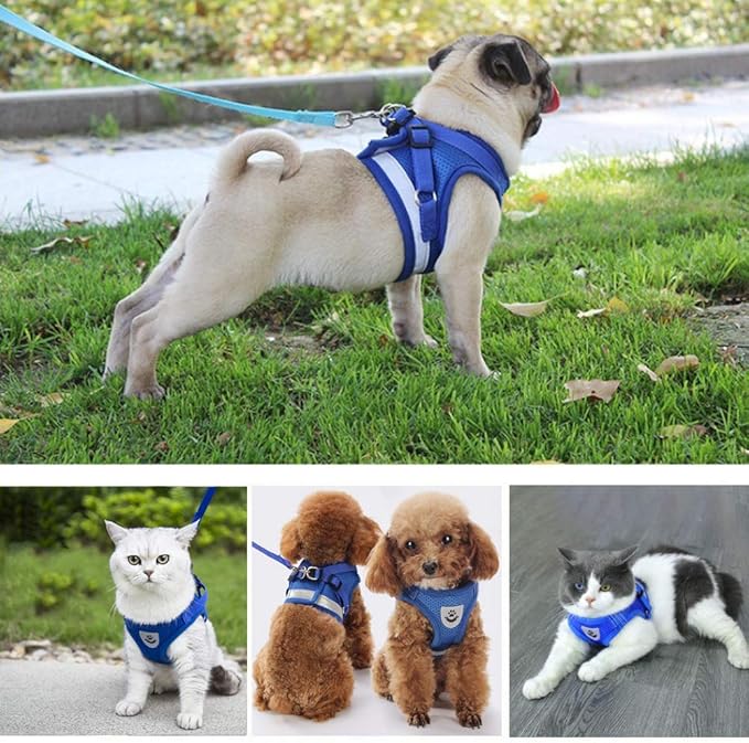 FEimaX Dog Harness and Leash Set for Walking, Soft Mesh Adjustable Easy Control Lightweight Cat Vest Harnesses with Reflective Strips, Escape Proof Small Dogs Cats Vests (Blue, Medium)