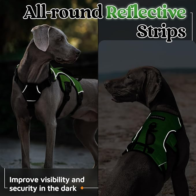 rabbitgoo Escape Proof Dog Harness, Soft Padded Full Body Pet Harness, Reflective Adjustable No Pull Vest with Lift Handle and Lesh Clip for Large Dogs Walking Hiking Training, M, Green