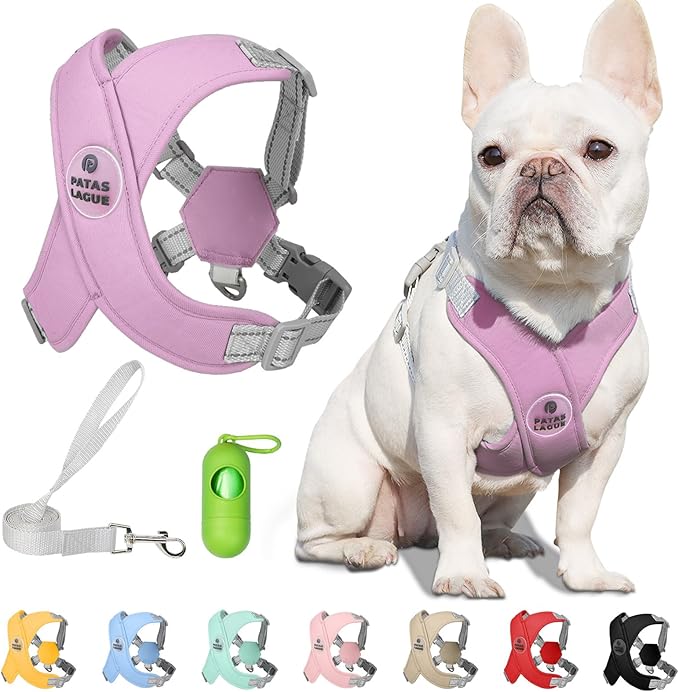 Patas Lague Dog Harness with Leash Set Adjustable Soft Padded Step-in Dog Vest No Choke No Pull Reflective for Small Medium Pets with Poop Bags and Dispenser, Solid and No-chew, Purple S