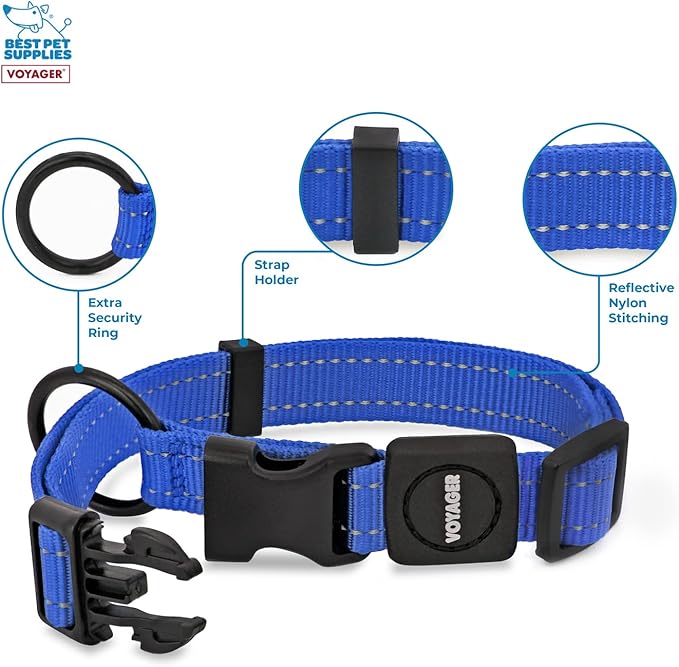 Best Pet Supplies Voyager Reflective Dog Leash or Collar with Neoprene Handle, for Small, Medium, and Large Breed Puppies, Cute and Heavy Duty for Walking, Running and Training - Royal Blue, M