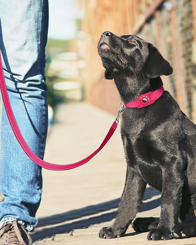 Erbine 6FT Reflective Nylon Dog Leash with Soft Padded Handle for Walking, Running and Training, Supports Small Medium and Large Dogs (Hotpink, 3/4Inch Wide)