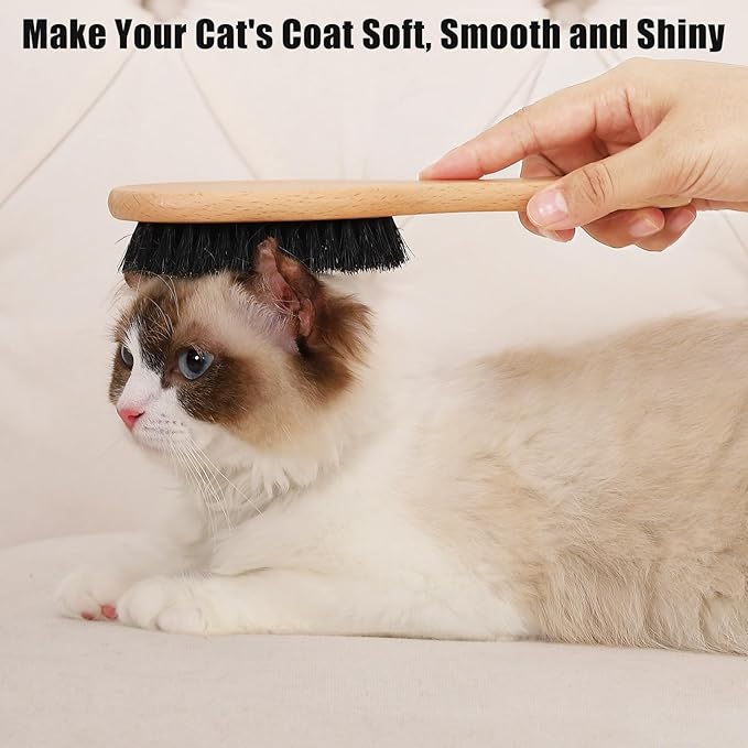 Boar Bristle Cat Brush with Wooden Handle, Soft and Gentle, Reduce Shedding, Make Coat Soft, Smooth and Shinny, Daily Grooming Tool for Short Haired Cats, Kitten