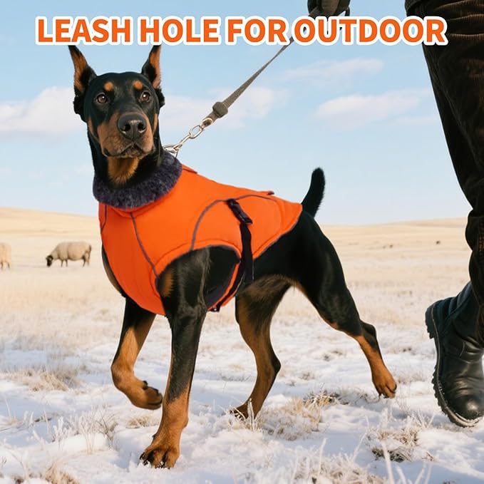 DENTRUN Winter Warm Dog Coat Reflective Jacket with Turtleneck for Cold Weather, Adjustable Buckle Windproof Water Repellent, Thick Snowsuit Fleece Vest for Small, Medium, Large Dogs, Orange, L
