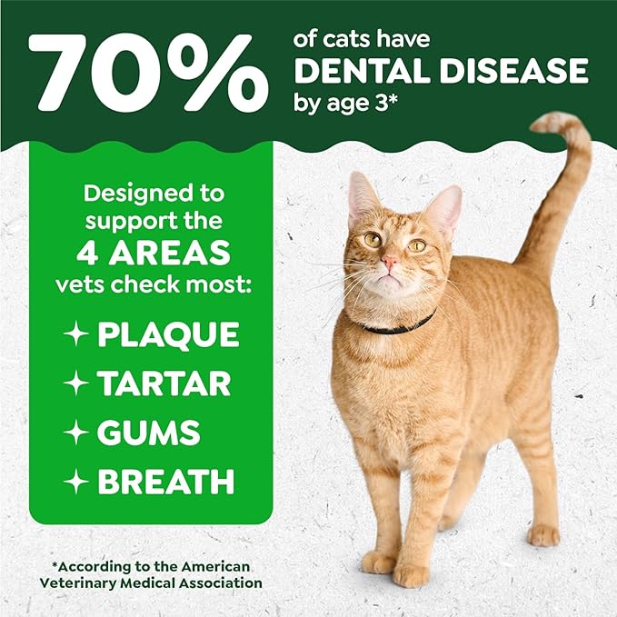 Greenies Feline Veterinarian-Recommended Adult Natural Dental Cat Treats, Catnip Flavor, 21 oz. Tub