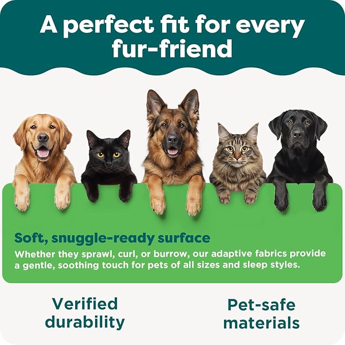 Furhaven 60" x 48" Highly Absorbent Dog Door Mat for Muddy Paws, 100% Washable, Perfect for Entryway, Kitchen, & Bathroom Use - Chenille Shammy Rug - Charcoal (Gray), Jumbo Plus/XXXL