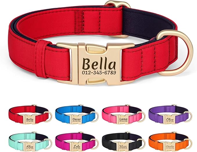 PET ARTIST Personalized Dog Collars, Colorful Red Custom Dog Collar with Silent Engraved ID Tag, Lightweight Breathable Nylon & Soft Padded, Matching Leash & Poop Bag for Large Dogs,L Fit 15-23"