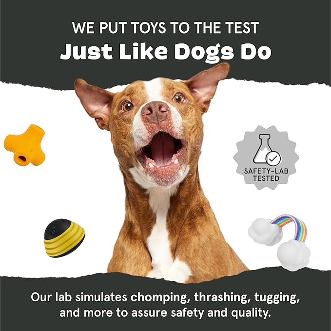 Barkbox Macaruffs | Plush Dog Toy Bundle for Small Dogs, Perfect for Cuddles and Gift Giving
