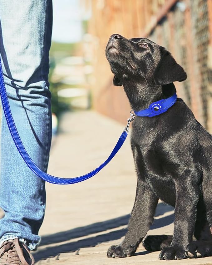 Erbine 6FT Reflective Nylon Dog Leash with Soft Padded Handle for Walking, Running and Training, Supports Small Medium and Large Dogs (Royal Blue, 3/4Inch Wide)