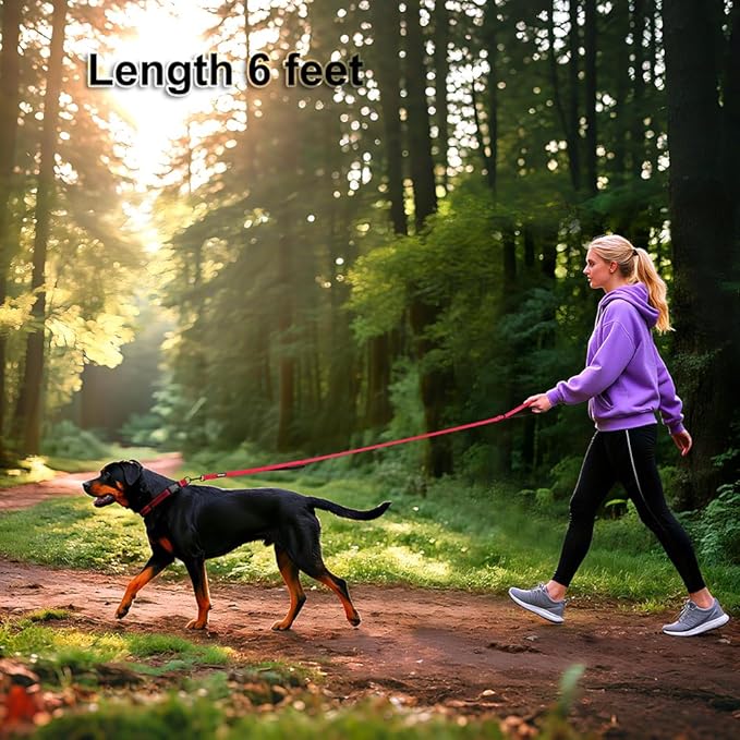 Heavy Duty Double Handle Dog Leash 6 ft Long for Total Control, Padded 2 Handle, Reflective Training Lead for Medium Large Dogs (Red, 6 FT)