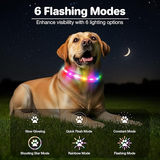 Fiveda Light Up Dog Collar, USB Rechargeable 6 Modes, Waterproof Charging Port, Long Lasting LED Collar - Adjustable Nylon Reflective for Dogs, Sizes S/M/L (7/9/11 Lights) -Pink, S