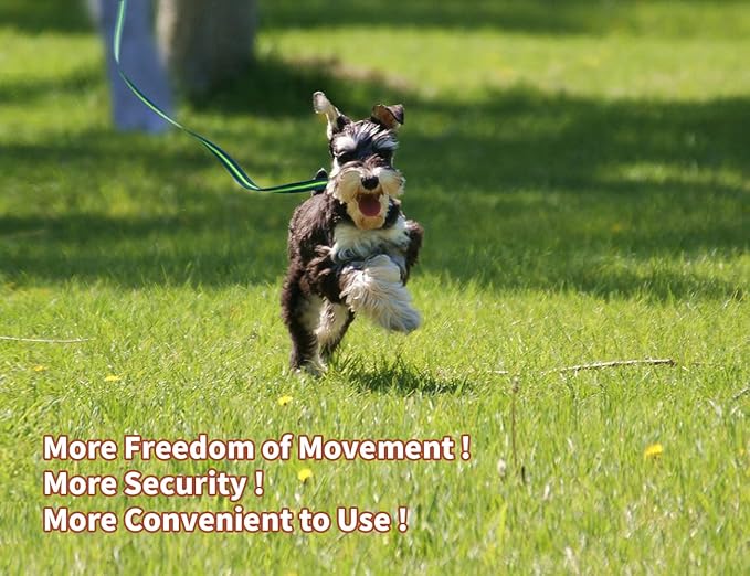 Long Dog Training Leash Dog Lead with Special Non-Slip Design and Padded Handle, 10/15/33/50 ft, for Any Size of Dogs