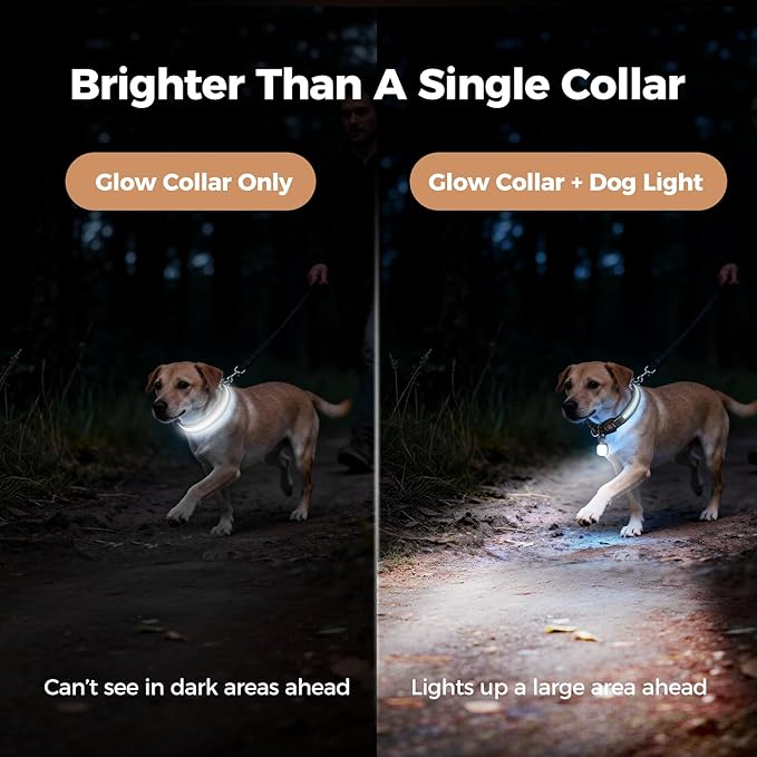 Light Up Dog Collar with Dogs Light Set,2 Pack Adjustable Rechargeable LED Dog Collar Light for Night Walking for Small Medium Large Pet