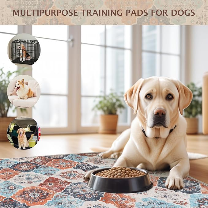 IEUUMLER Washable Pee Pads for Dogs, 1 Pack Reusable Pee Pads for Dogs Non-Slip Grip, Super Absorbent Waterproof Puppy Pads for Potty Training, Playpen, Crate, Whelping Box EU011 (Orange,63" x 63")