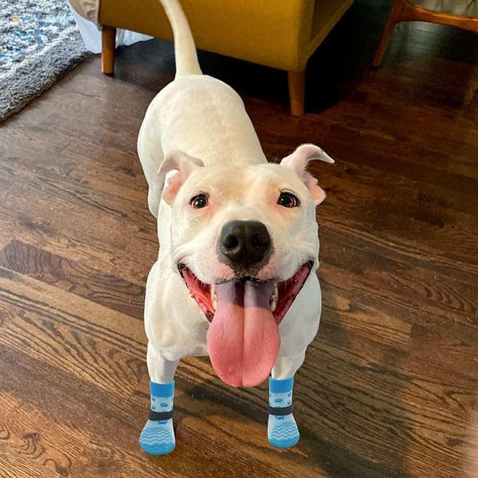 EXPAWLORER 6Pcs Anti Slip Dog Socks to Prevent Licking Paws, Dog Shoes for Hot Pavement, Double Sides Dog Boots & Paw Protectors Booties for Hardwood Floors with Grippers Small Medium Large Senior Dog
