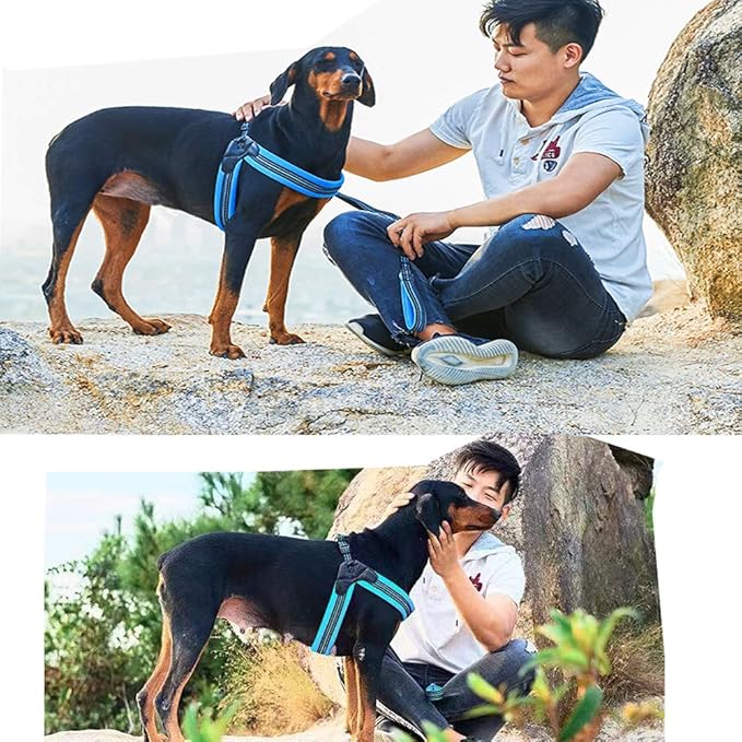 Dog Harness No Pull Ultra Soft Breathable Padded Pet Harness 2 Adjustable Botton, 3M Reflective Pet Harness for Dogs Easy Control for Small Medium Large Dogs (S, Bright Orange)