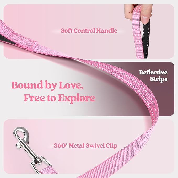 rabbitgoo Dog Harness Small Sized and Leash Set, Step in Soft Light Puppy Vest, Breathable Mesh Pet Harness, Reflective for Safe Easy Walking, Light Pink XXXS