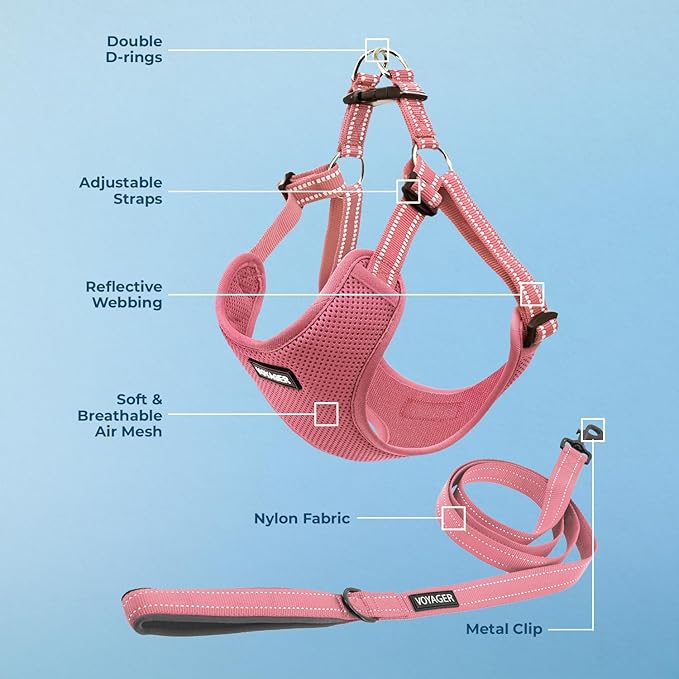 Best Pet Supplies Voyager Mesh Dog Breathable Harness Reflective Stitching, All Weather Adjustable for Walking Training, or Running - Heavy Duty & Durable, Harness Leash Set (Pink), S