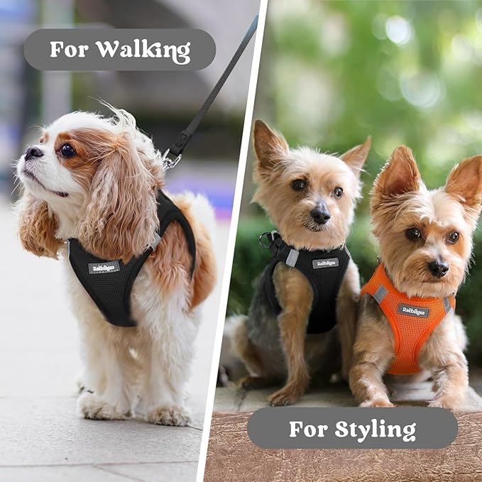 rabbitgoo Small Dog Harness, Step-in Soft Mesh Puppy Vest with Safety Buckle, Breathable Reflective Pet Harness for Small Sized Dogs, Black S