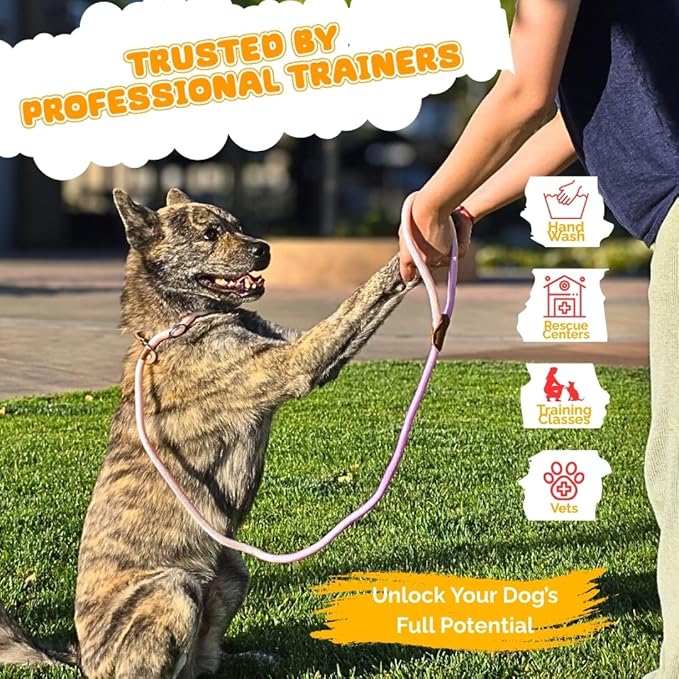 Dog Leash - Slip Leads for Dogs, 5 FT Pet Training Leash, Strong Heavy Duty Braided No Pull Loop Rope Training Lead Leashes for Small, Medium, Large Breeds, Pink & Purple