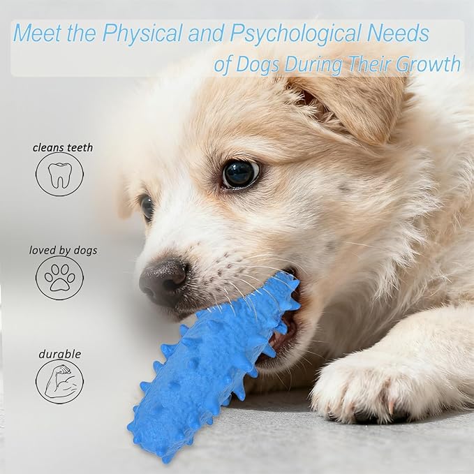 2 Pack Chew Toys for Puppies & Dogs, Dog Chew Toys to Keep Them Busy, Durable Puppy Teething Chew Toys, Tough Puppy Toothbrush Clean Teeth Interactive Toys for Small Medium Breed (Blue)