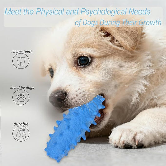 2 Pack Chew Toys for Puppies & Dogs, Dog Chew Toys to Keep Them Busy, Durable Puppy Teething Chew Toys, Tough Puppy Toothbrush Clean Teeth Interactive Toys for Small Medium Breed (Blue)